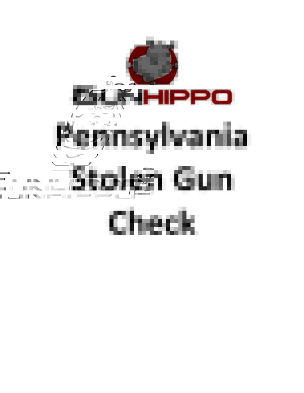 Stolen gun check