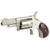 NORTH AMERICAN  ARMS MINI REVOLVER HGR 22LR 1-5/8" BBL SS 5-SHOT - Image 2