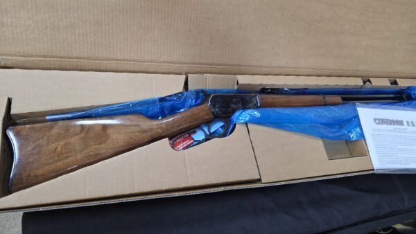 chiappa 1982