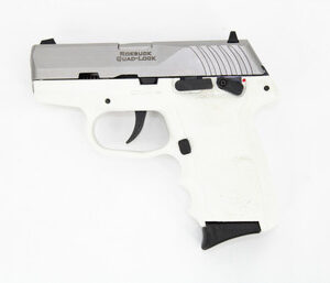 SCCY CPX-4TTWT .380 ACP 2.96" 10+1 DAO Stainless/White