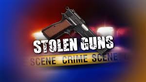 Stolen Gun Check
