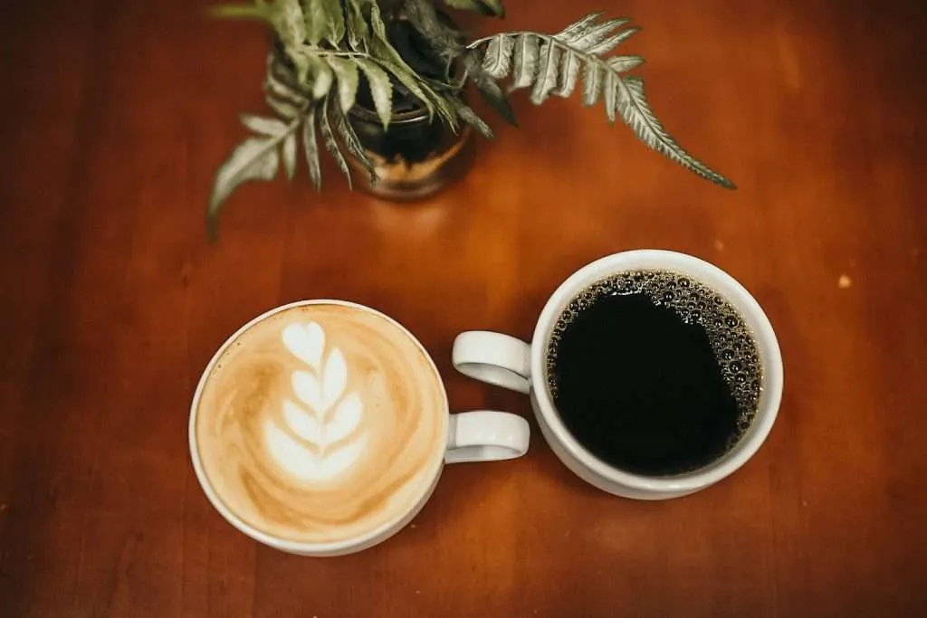 abide coffee house - GunHippo abide coffee house